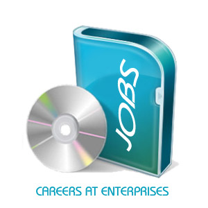 Corporate Software & Portals